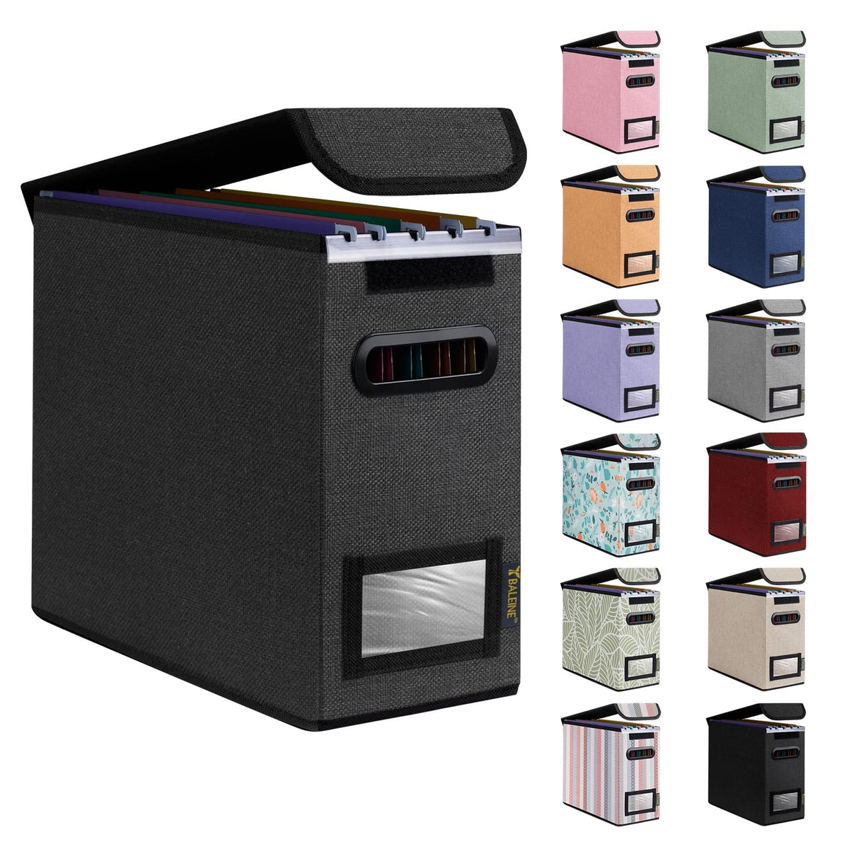 BALEINE File Organizer Box with Lid, Collapsible Hanging File Storage Box