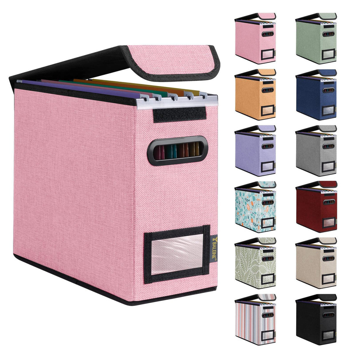 BALEINE File Organizer Box with Lid, Collapsible Hanging File Storage Box