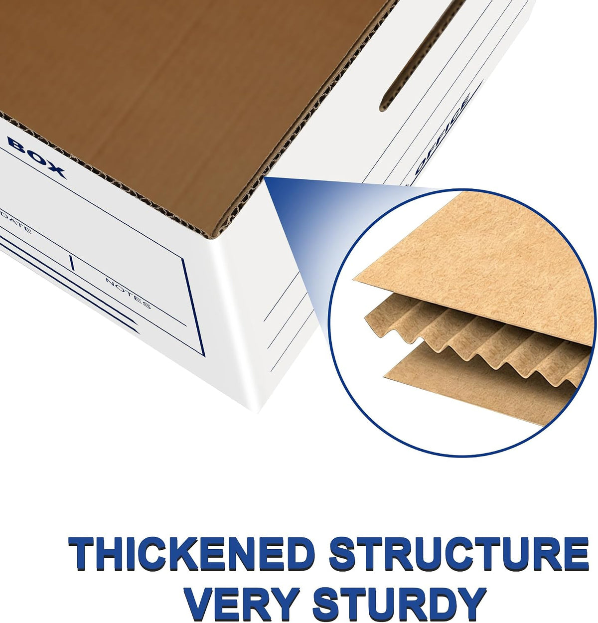 Zzrywuty 12 Pack File Storage Boxes with Lift-Off Lid,16x12x10 Inches