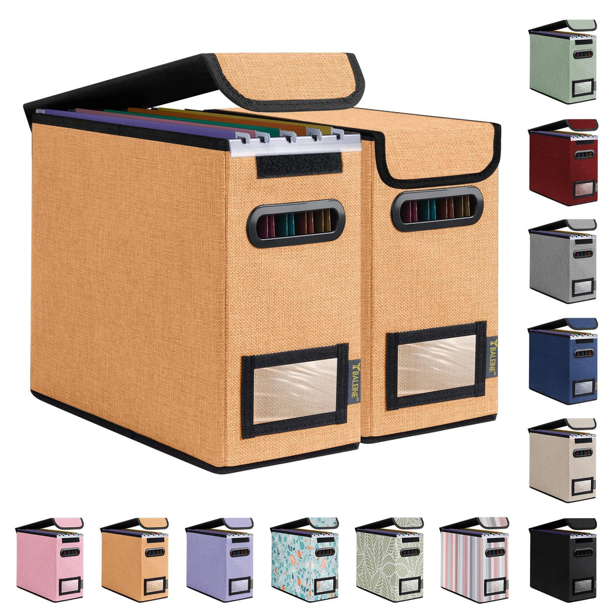 BALEINE File Organizer Box with Lid, Collapsible Hanging File Storage Box