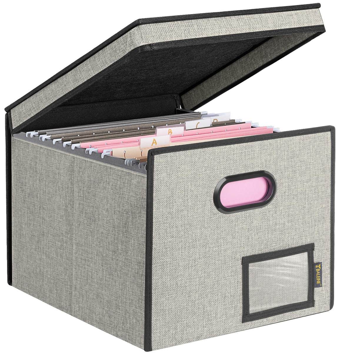 BALEINE File Organizer Box with Lid, Collapsible Hanging File Storage Box