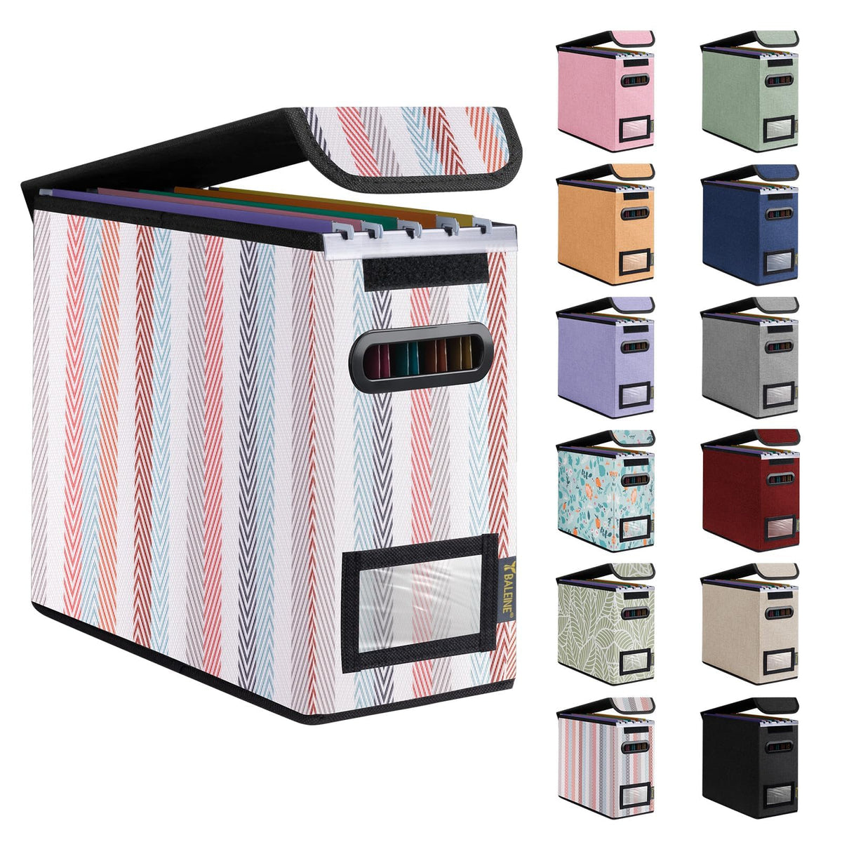 BALEINE File Organizer Box with Lid, Collapsible Hanging File Storage Box
