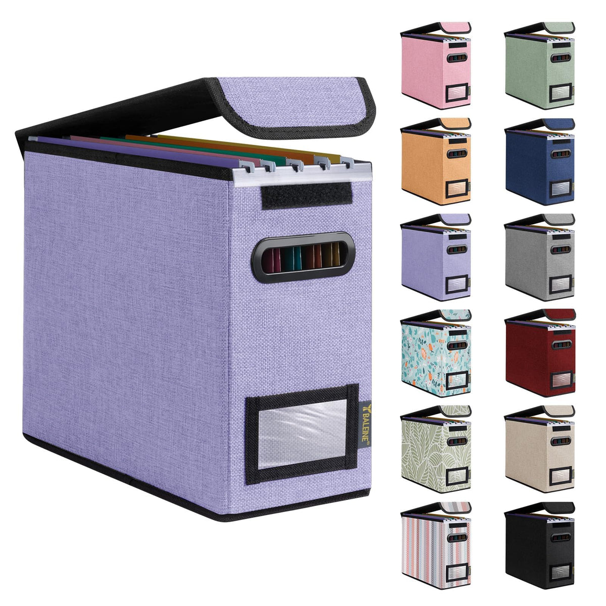 BALEINE File Organizer Box with Lid, Collapsible Hanging File Storage Box