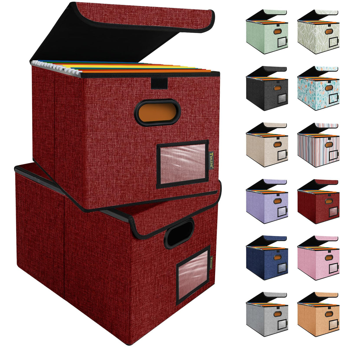 BALEINE File Organizer Box with Lid, Collapsible Hanging File Storage Box
