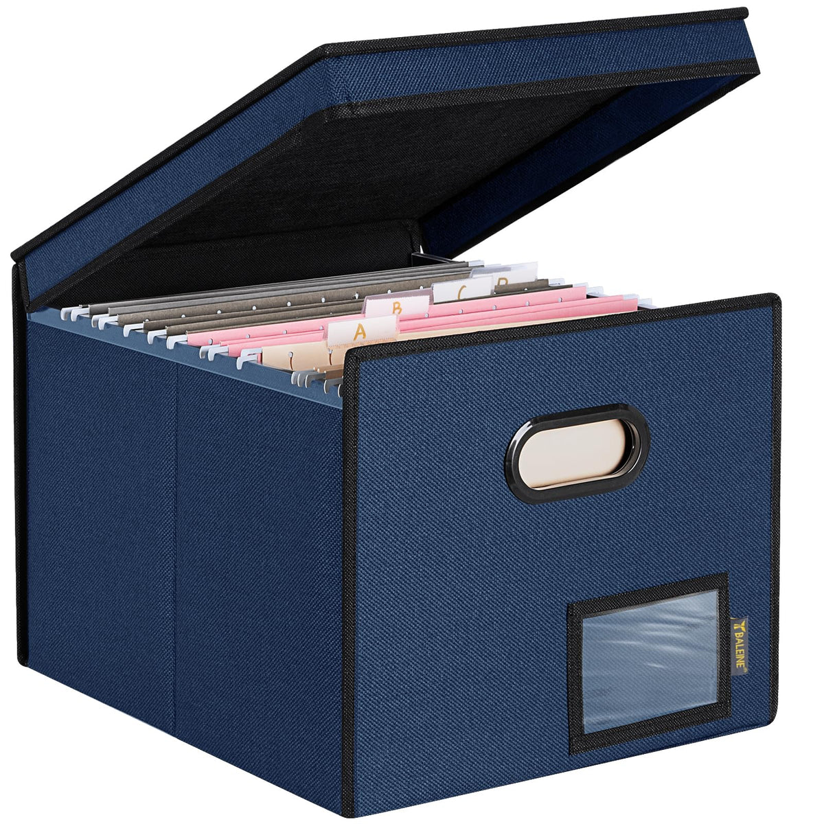 BALEINE File Organizer Box with Lid, Collapsible Hanging File Storage Box