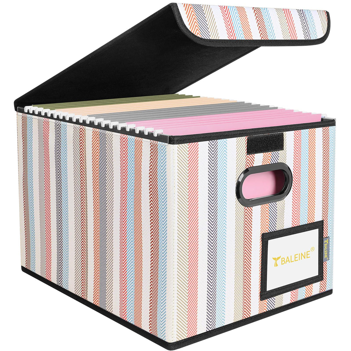 BALEINE File Organizer Box with Lid, Collapsible Hanging File Storage Box