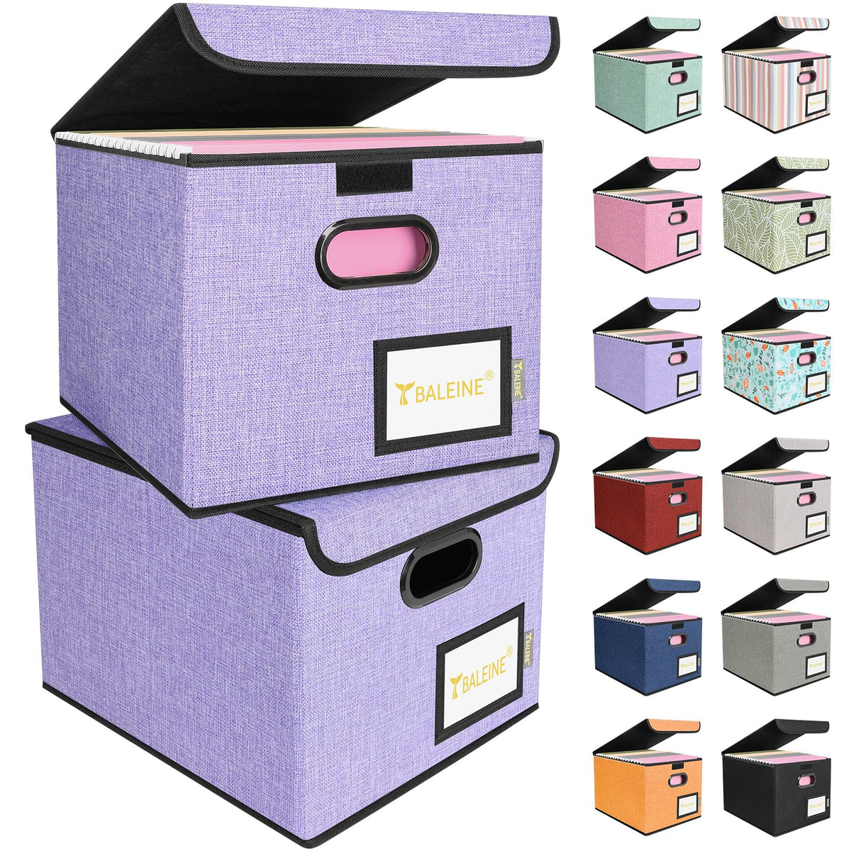 BALEINE File Organizer Box with Lid, Collapsible Hanging File Storage Box
