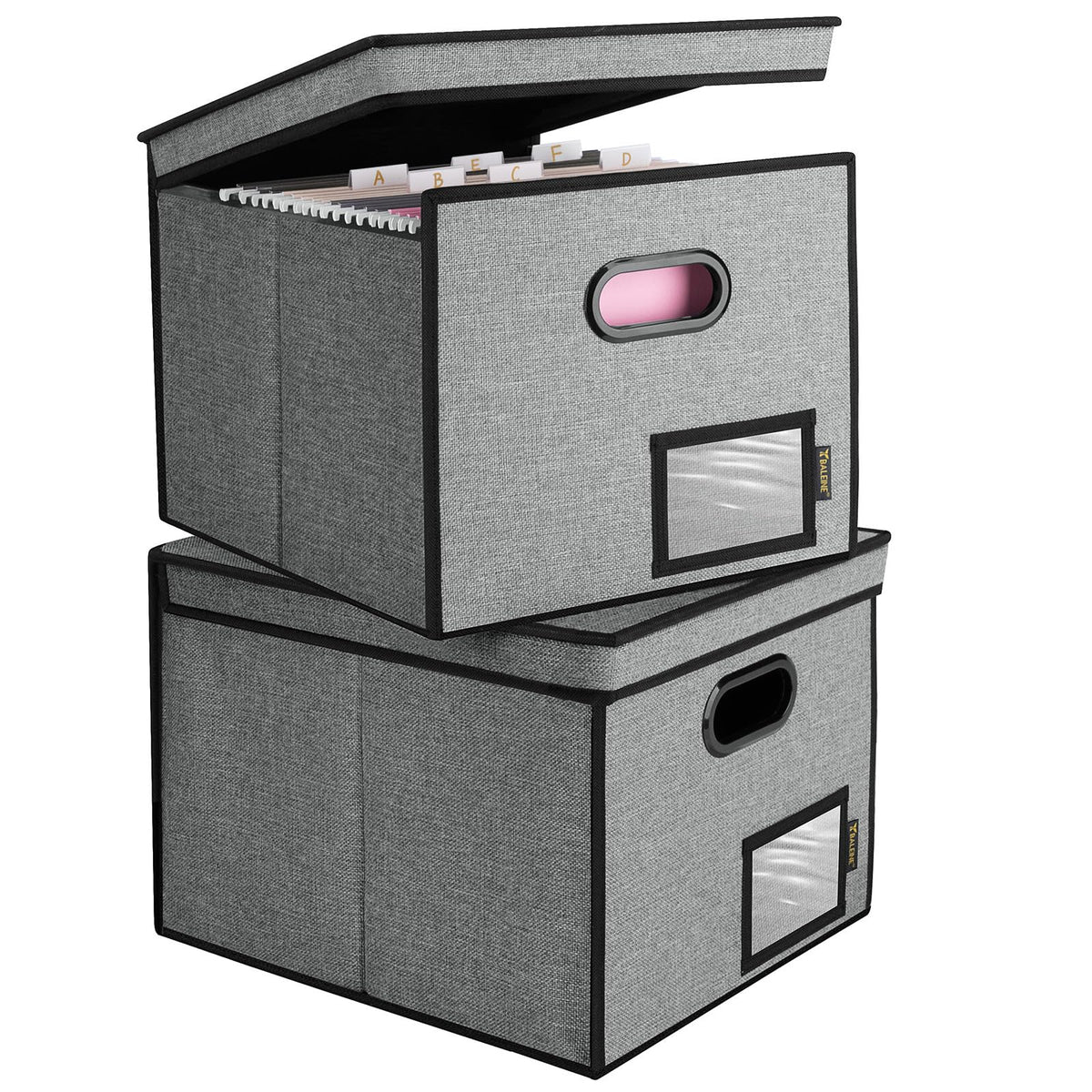 BALEINE File Organizer Box with Lid, Collapsible Hanging File Storage Box