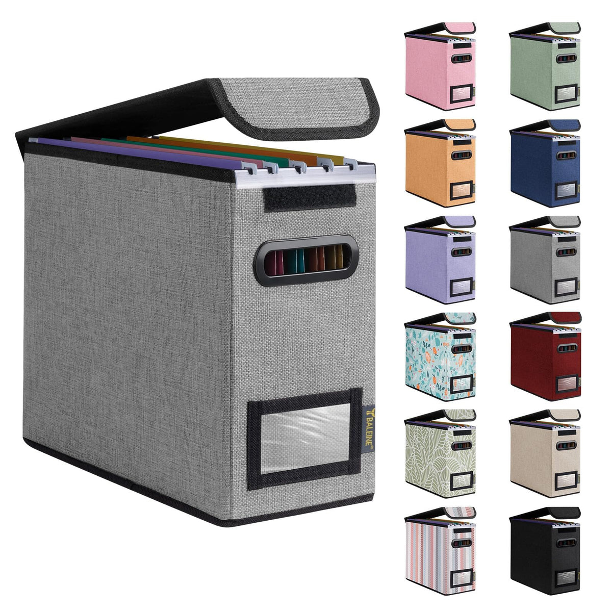BALEINE File Organizer Box with Lid, Collapsible Hanging File Storage Box
