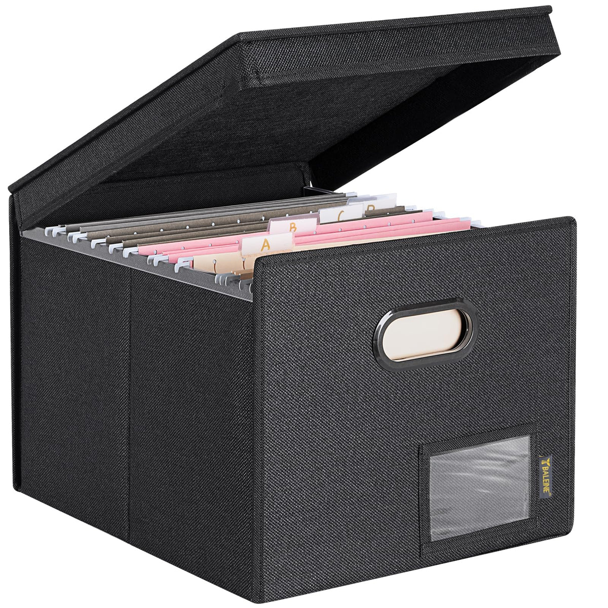 BALEINE File Organizer Box with Lid, Collapsible Hanging File Storage Box
