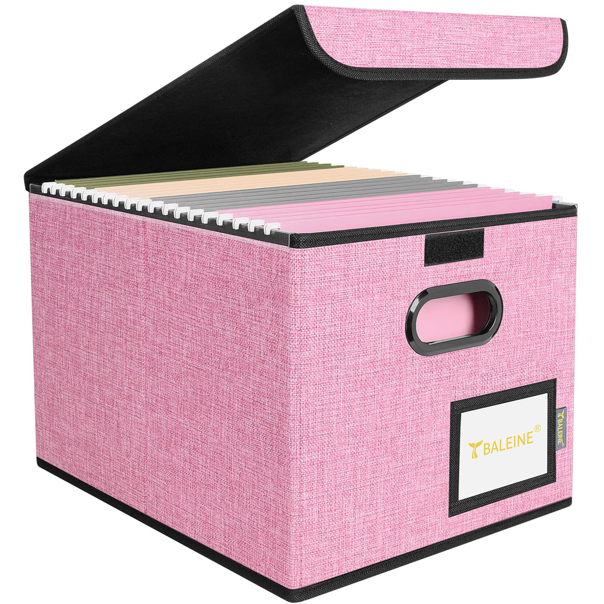 BALEINE File Organizer Box with Lid, Collapsible Hanging File Storage Box