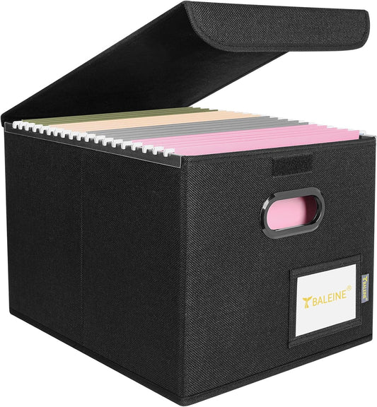 BALEINE File Organizer Box with Lid, Collapsible Hanging File Storage Box