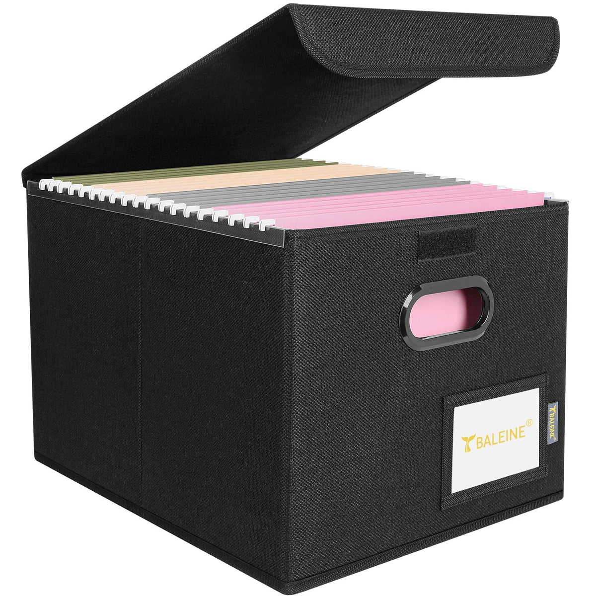 BALEINE File Organizer Box with Lid, Collapsible Hanging File Storage Box