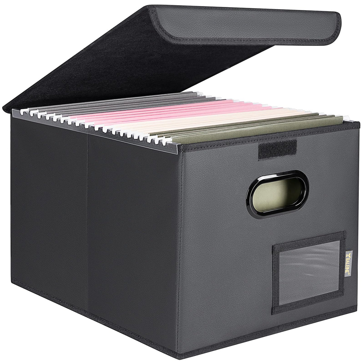 BALEINE File Organizer Box with Lid, Collapsible Hanging File Storage Box