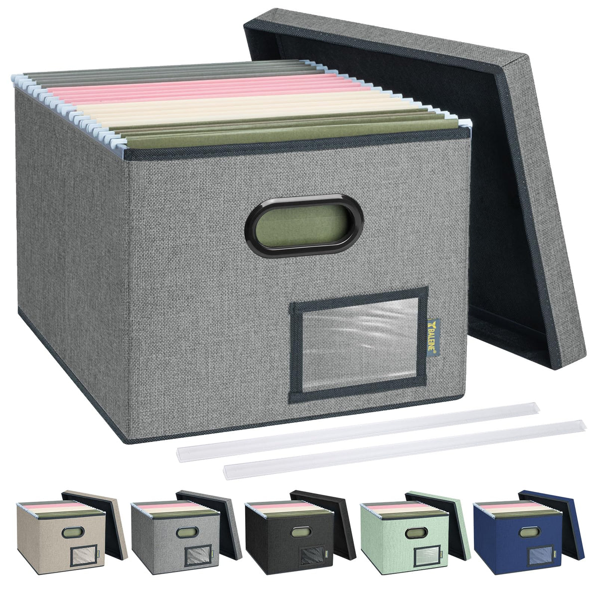 BALEINE File Organizer Box with Lid, Collapsible File Folder Organizer with Plastic Slide, Filing Box for Office Home Document Organizer Storage (Black, 1PK)