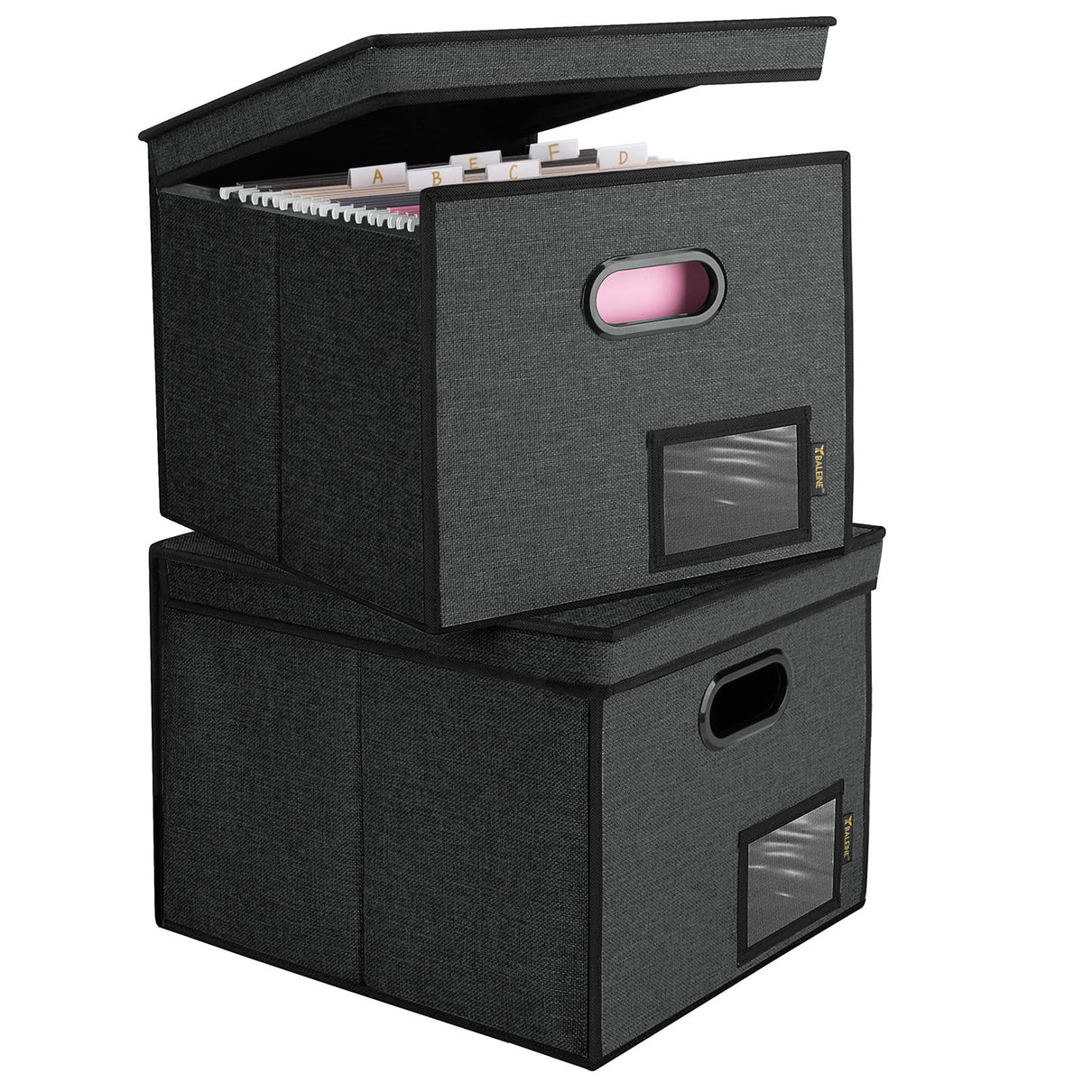 BALEINE File Organizer Box with Lid, Collapsible Hanging File Storage Box