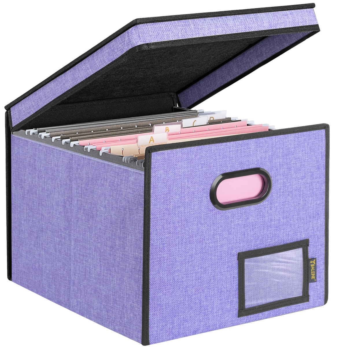 BALEINE File Organizer Box with Lid, Collapsible Hanging File Storage Box