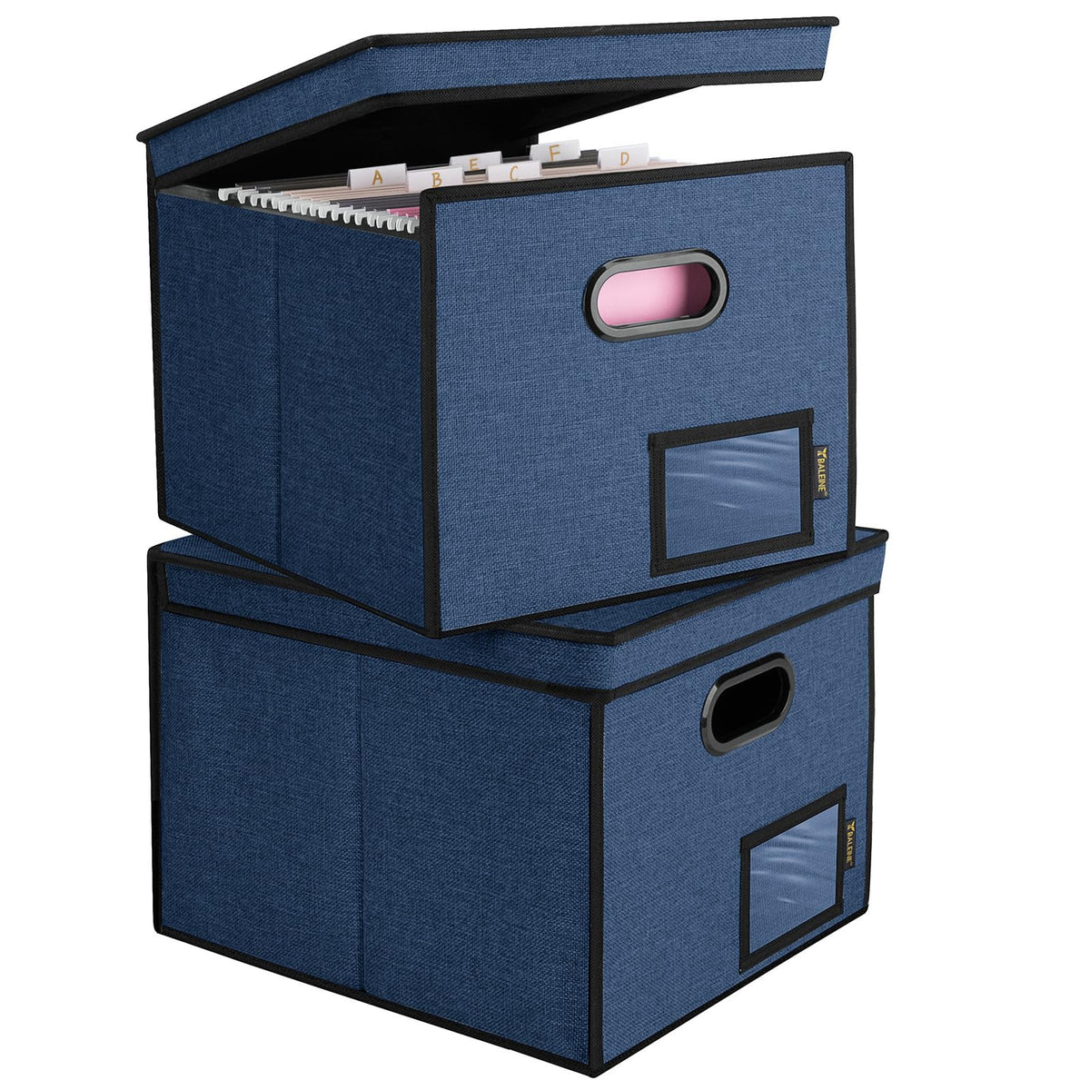 BALEINE File Organizer Box with Lid, Collapsible Hanging File Storage Box