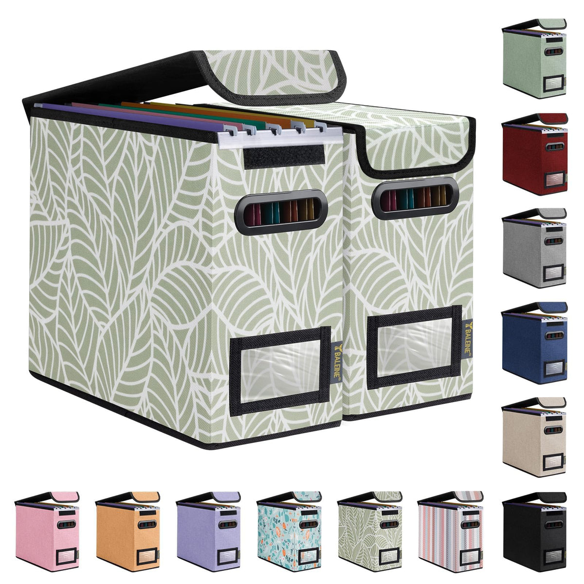 BALEINE File Organizer Box with Lid, Collapsible Hanging File Storage Box