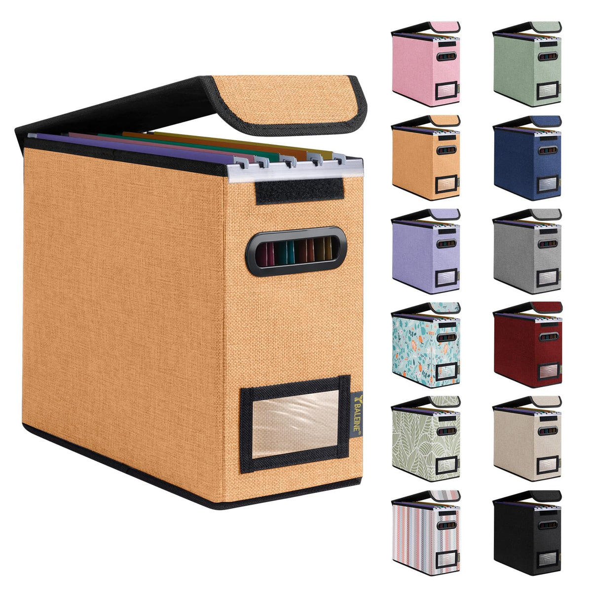 BALEINE File Organizer Box with Lid, Collapsible Hanging File Storage Box